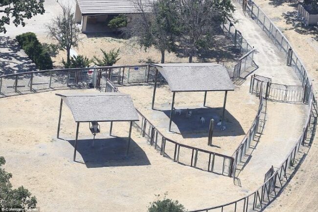 Here's abandoned Neverland ranch recent photos -4