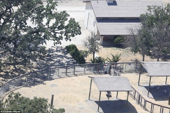 Here's abandoned Neverland ranch recent photos -6