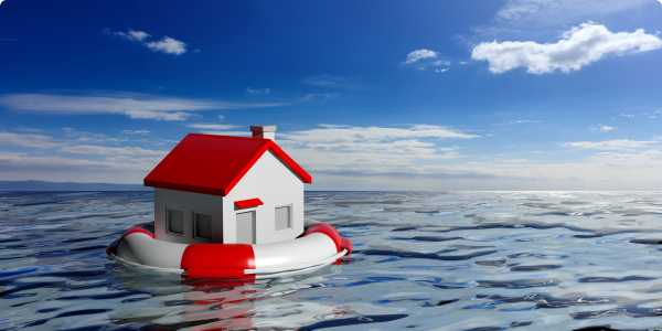 Flood & Earthquake Insurance